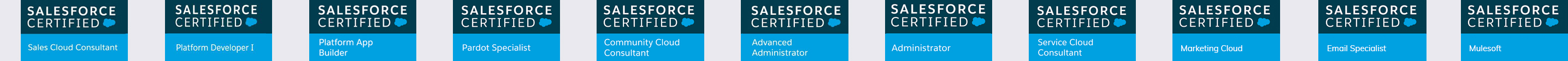 salesforce certified