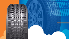 Building a Custom Application on force platform for Ceat Tyres