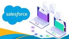 Migration to Salesforce Org and Building a Service Console Application