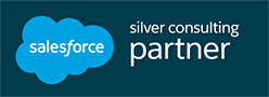 Silver Consulting Partner